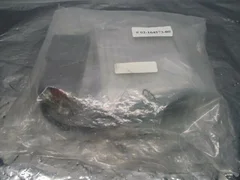 Novellus 02-164573-00 Assy, Stepper Motor, 2 (NC), UDK5214NW, PK566BW-N10,408242