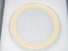 Novellus 15-054434-03 2.50mm Exclusion Ring 200mm Diameter