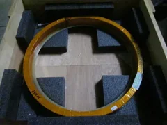 Novellus 30-259812-00  Coil, EM, D Coil, HCM