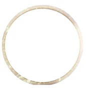 Novellus Ceramic Insulator Ring 04-730761-01