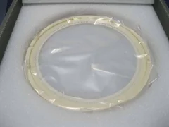 Novellus, Exclusion Ring, 200mm x 2.0mm OH, SEMI MOER, no Flat, 02-032907-00