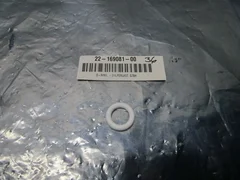 Perlast Oring, Compound G70H (FFKM), White, Novellus 22-169081-00, 101336