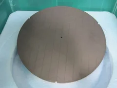 R108225 Novellus 300mm Copper Speed HDP ESC 62-283808-00