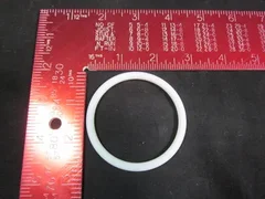 WILDEN M8PTTF O RING SEAT M.FOLD WILDEN PUMP M8 PTTF