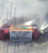 AMAT 3870-03652 Check Valve brand new