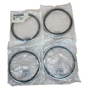 Applied Materials AMAT 3700-01864 SEAL: CTR ORING ASSY NW160 W/VI (Lot Of 4)