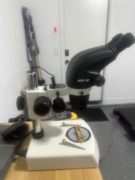 Leica 10446296 S6 T Stereozoom 0.63x-4.0x w/ lighted base & NIKON CFL10x/22