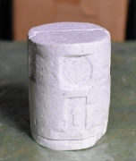 NIKON CF PL2.5XA Microscope Objective Eyepiece Photo Relay Lens