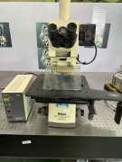 Nikon OPTIPHOT-200C Microscope w/ Stage & Light – No Objectives, Untested