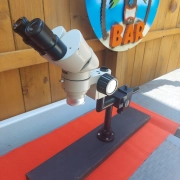 Nikon SM-5 Stereo Microscope OBJ.2x (:SEE VIDEO: VINTAGE IN AMAZING CONDITION.