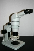 Nikon SMZ-800 Stereozoom Microscope 10-63X on Desktop w/Ring light  - Excellent