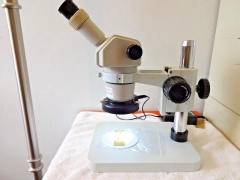 Nikon SMZ1B microscope, zoom 8X-35X, New 10X e/p's & new post std, new LED R/L