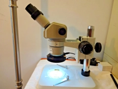 Nikon SMZ1B microscope, zoom 8X-35X, Nikon 10X e/p's & new post std, new LED R/L