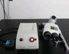 Nikon SMZ745T Stereo Microscope with SCHOTT KL 1500 Compact Light Source