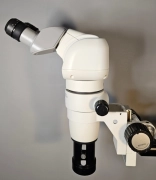 Nikon SMZ800N stereo microscope with P-BERG Tilted Eyepiece Tube