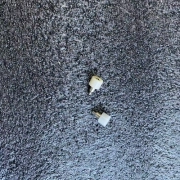 NIKON TEC CORPORATION Replacement | Screws  4K113-938AN