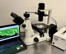 Nikon TS-100 Eclipse Inverted Trinocular Fluorescence  Phase Contrast Microscope