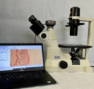 Nikon TS-100 Eclipse Inverted Trinocular  Phase Contrast Microscope