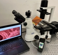 Nikon TS-100 Eclipse Upgraded Broadband LED Inverted Fluor Phase  Microscope