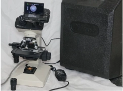 Nikon YS Biological Microscope Binocular Head with Sony NEX-C3 16MP Camera 