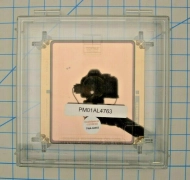 PM10AL4763 / RETICLE .250 THICKNESS DPI KRF 7043 MATTE / NIKON